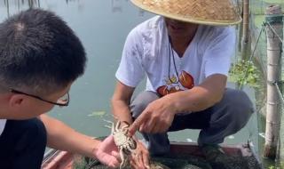 阳澄湖开湖时间2021 阳澄湖开湖时间2021