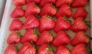 丹东草莓多少钱一斤 丹东草莓多少钱一斤