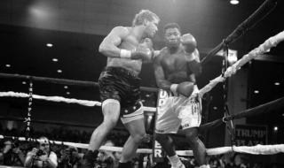 霍利菲尔德和刘易斯 霍利菲尔德和刘易斯