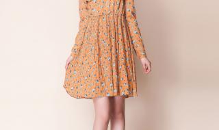 雪纺碎花连衣裙 雪纺碎花连衣裙