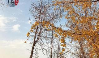 四川德阳建筑学院