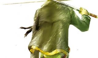 海贼王手掌岛的冒险 海贼王手掌岛的冒险