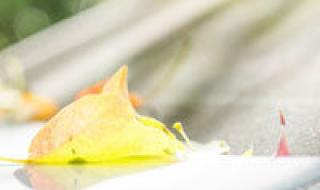 lol皮肤活动 lol皮肤活动