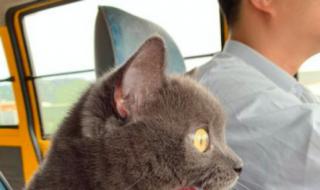 我要出去玩 我要出去玩