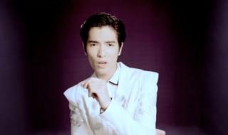 回音哥芊芊 回音哥芊芊