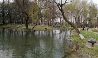 杭州太子湾公园门票