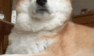 怎样哄女孩子开心