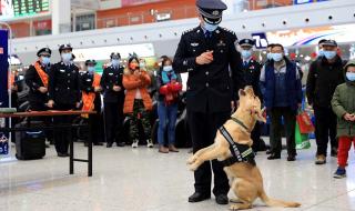 2022赶海潮汐时间表 2022赶海潮汐时间表