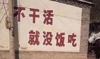 天选打工人是什么梗 天选打工人是什么梗