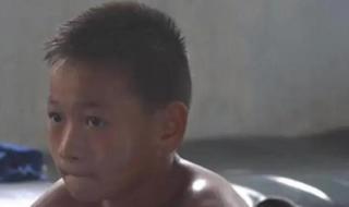 全红婵跳水完整版播放 全红婵跳水完整版播放