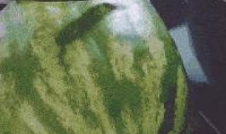 第一批回家过年的人 第一批回家过年的人