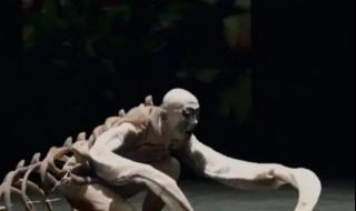 东京奥运会开幕表演 东京奥运会开幕表演