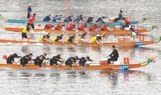 世界杯排球赛时间